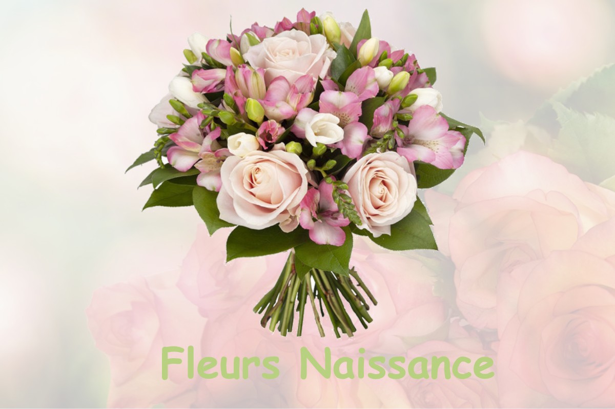 fleurs naissance CHISSAY-EN-TOURAINE
